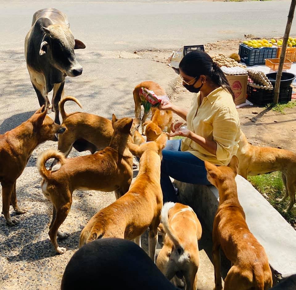 95509588_3283645548313612_6878522134658809856_n